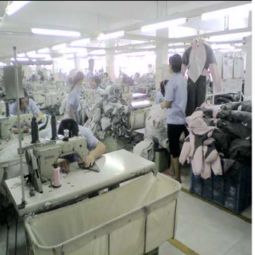 佛山市禪城區鵬飛制衣廠 全球紡織網與服裝加工網上的品質力量